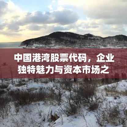 中国港湾股票代码,企业独特魅力与资本市场之旅的揭秘