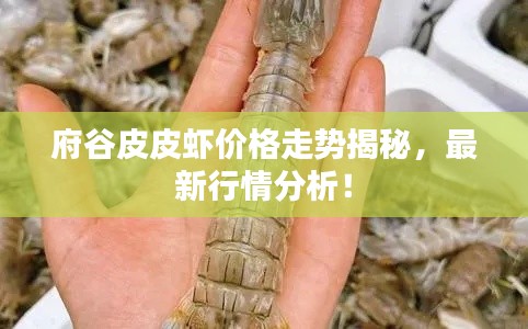 府谷皮皮虾价格走势揭秘,最新行情分析!