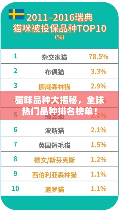 猫咪品种大揭秘,全球热门品种排名榜单!