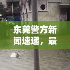 洵属可贵 第3页