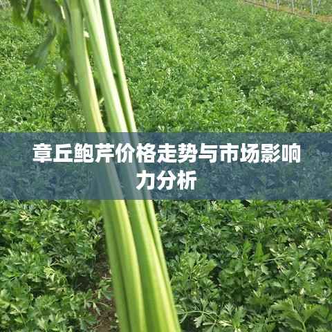 章丘鲍芹价格走势与市场影响力分析