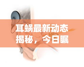 耳蜗最新动态揭秘,今日瞩目焦点