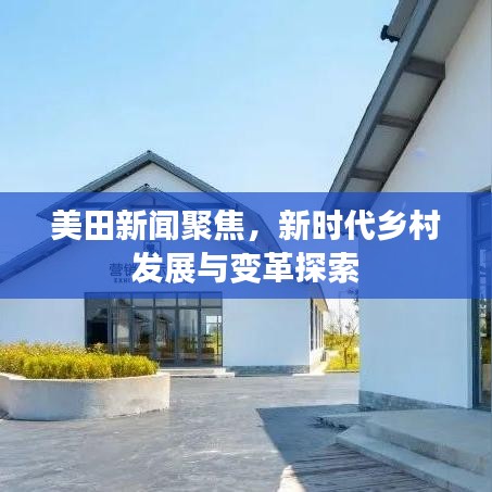 美田新闻聚焦,新时代乡村发展与变革探索