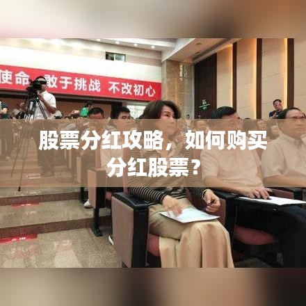 股票分红攻略,如何购买分红股票?