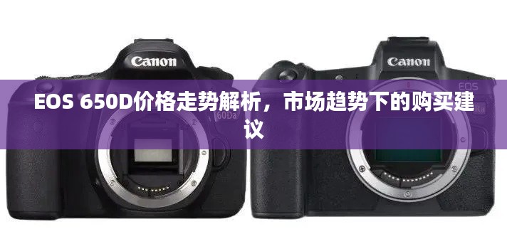 久别重逢 第3页