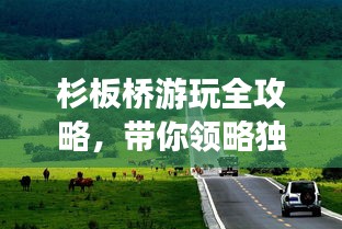 杉板桥游玩全攻略,带你领略独特魅力