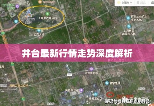 井台最新行情走势深度解析