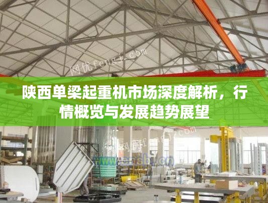 陕西单梁起重机市场深度解析,行情概览与发展趋势展望