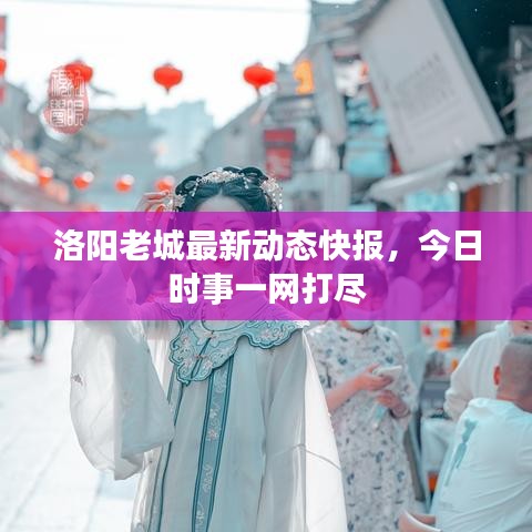 洛阳老城最新动态快报,今日时事一网打尽