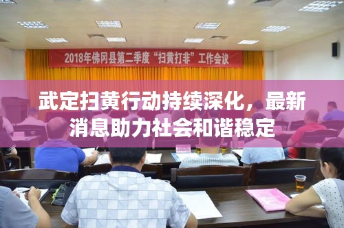 武定扫黄行动持续深化,最新消息助力社会和谐稳定