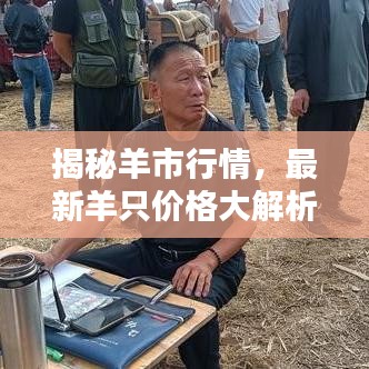 揭秘羊市行情,最新羊只价格大解析!