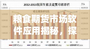 粮食期货市场软件应用揭秘，探索行情，把握市场信息的必备利器