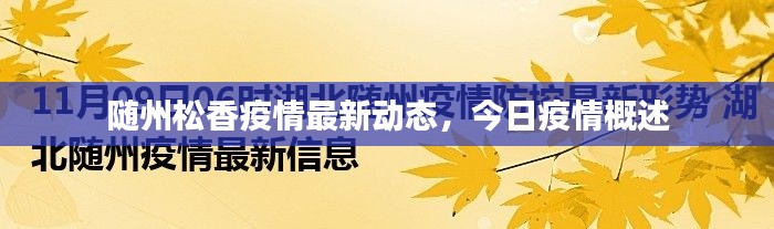 随州松香疫情最新动态,今日疫情概述