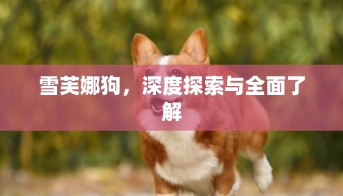 千载难逢 第2页