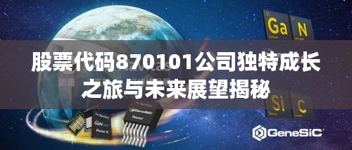 股票代码870101公司独特成长之旅与未来展望揭秘