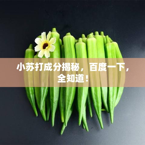 小苏打成分揭秘,百度一下,全知道!