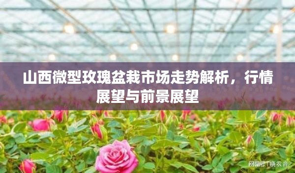 卧薪尝胆 第2页