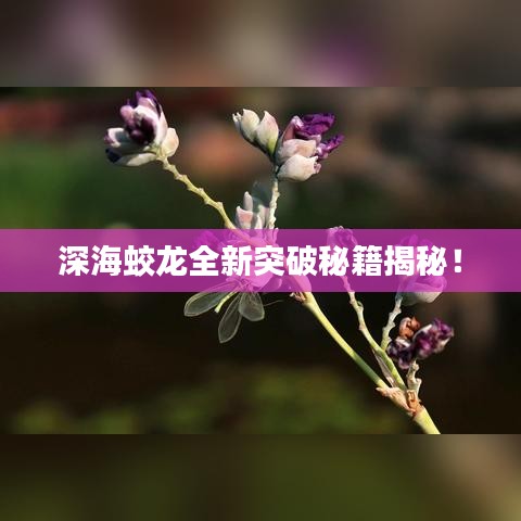 深海蛟龙全新突破秘籍揭秘!