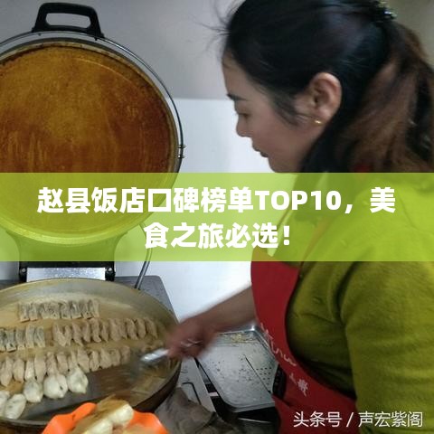 赵县饭店口碑榜单TOP10,美食之旅必选!