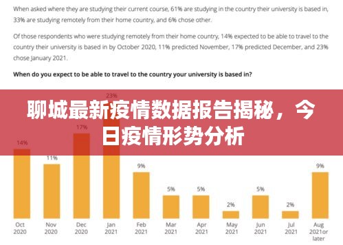 聊城最新疫情数据报告揭秘,今日疫情形势分析