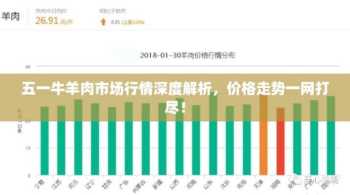 五一牛羊肉市场行情深度解析,价格走势一网打尽!