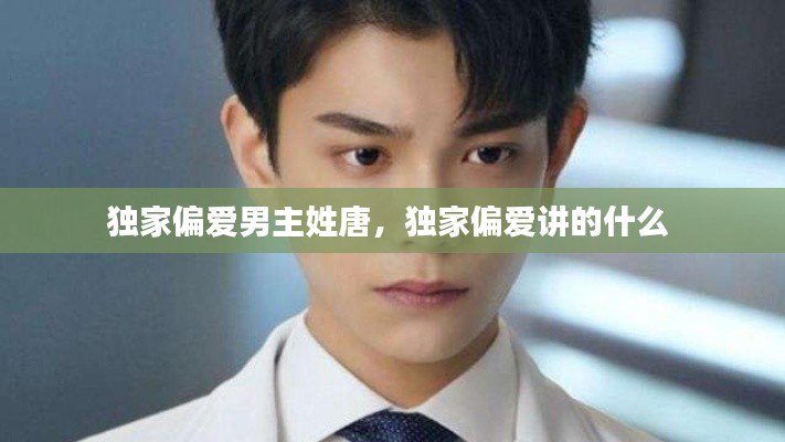 独家偏爱男主姓唐,独家偏爱讲的什么