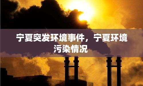 宁夏突发环境事件,宁夏环境污染情况