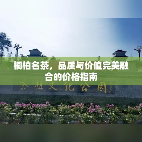 桐柏名茶，品质与价值完美融合的价格指南
