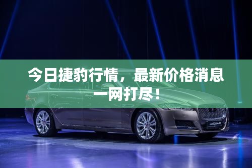 今日捷豹行情,最新价格消息一网打尽!