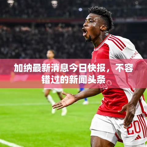 加纳最新消息今日快报,不容错过的新闻头条